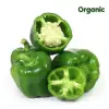 Organic Capsicum